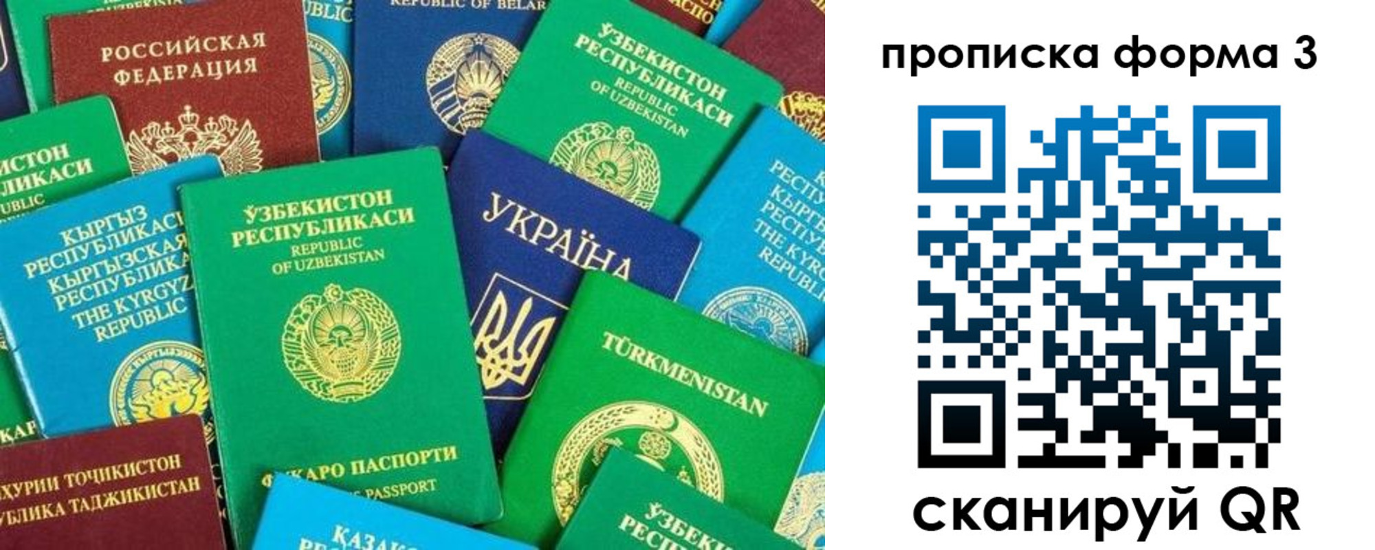 регистрация в Кандалакше